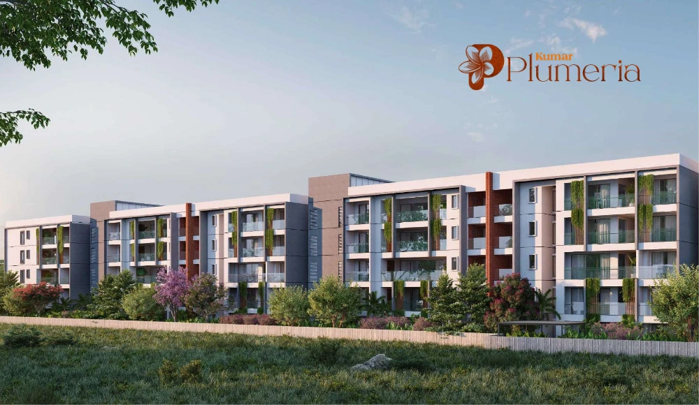 kumar-plumeria-2