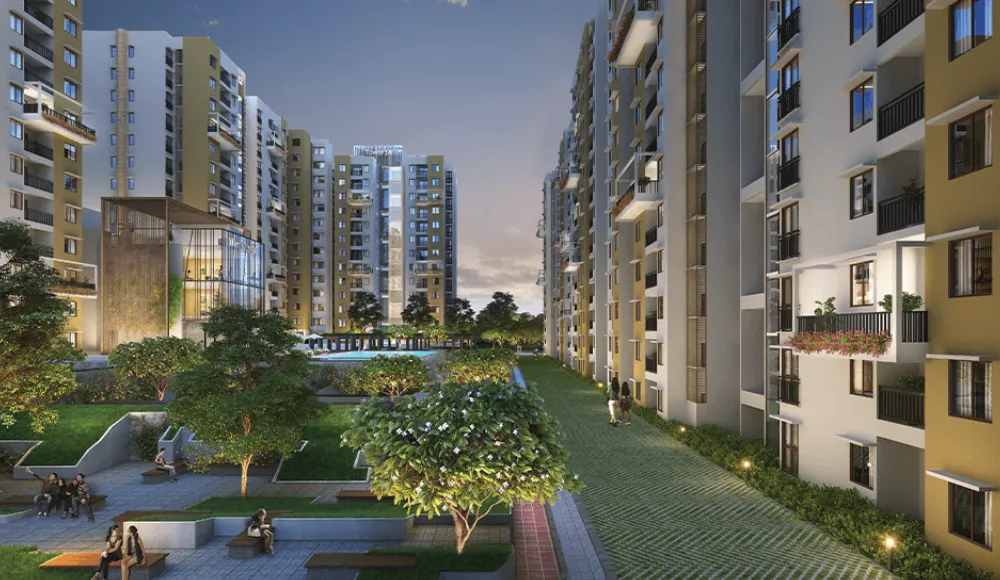 purva-zenium-3