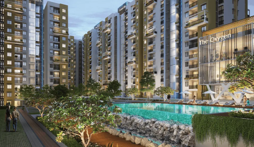 purva-zenium-4